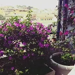 Apartment Attico Blu Matera
